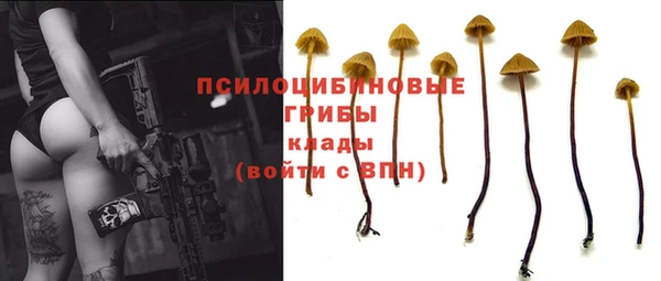MESCALINE Пестово